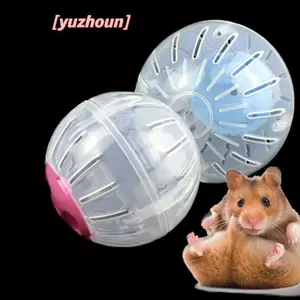 Bóng chạy bộ cho thú cưng Đồ chơi tập thể dục nhỏ bằng nhựa chạy bộ Hamster