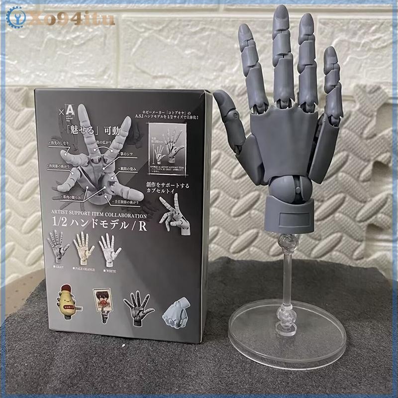 XOITU Di Chuyển Khớp Ngón Tay Gashapon 1 / 2 Tay Mẫu 1: 1 Cọ Tranh Nghệ Thuật Mô Hình Thu Nhỏ Dụng Cụ Tham khảo Tay Để Bàn Trang Trí VN