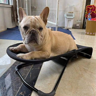 Ghế Vải Cho Bouncer Vải Mềm Mại & Thoáng Khí Bouncer Ghế Cho Quà Tặng Năm Mới Giáng Sinh