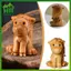 SWEET 1 / 2 Chiếc Dễ Thương Handmade Gỗ Ngựa Trang Trí 2026 Năm Mới Cung Hoàng Đạo Ngựa Tượng Hình Hoàn Hảo Cho Trang Trí Nhà Và Như Một Món Quà n