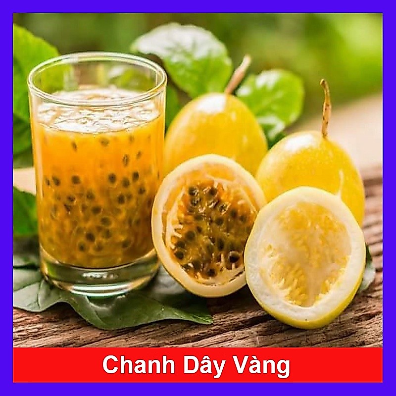 Cây Chanh Dây Ngọt Vàng - 3 tháng cho trái