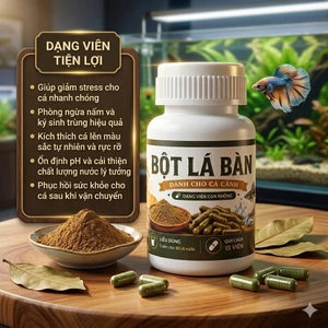 Bột Lá Bàng Dạng Viên Cho Hồ Cá, Thuỷ Sinh, Giúp • Cảnh Giảm Stress, Sát Khuẩn, Lành Vết Thương (Hủ 15 viên)