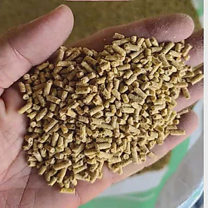 1Kg Cám Gà, Cám Chim Bồ Câu Dạng Viên Giúp Bổ Sung Dinh Dưỡng Và Tăng Hiệu Quả Trứng - Mộc Hoa Viên