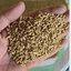 1Kg Cám Gà, Cám Chim Bồ Câu Dạng Viên Giúp Bổ Sung Dinh Dưỡng Và Tăng Hiệu Quả Trứng - Mộc Hoa Viên