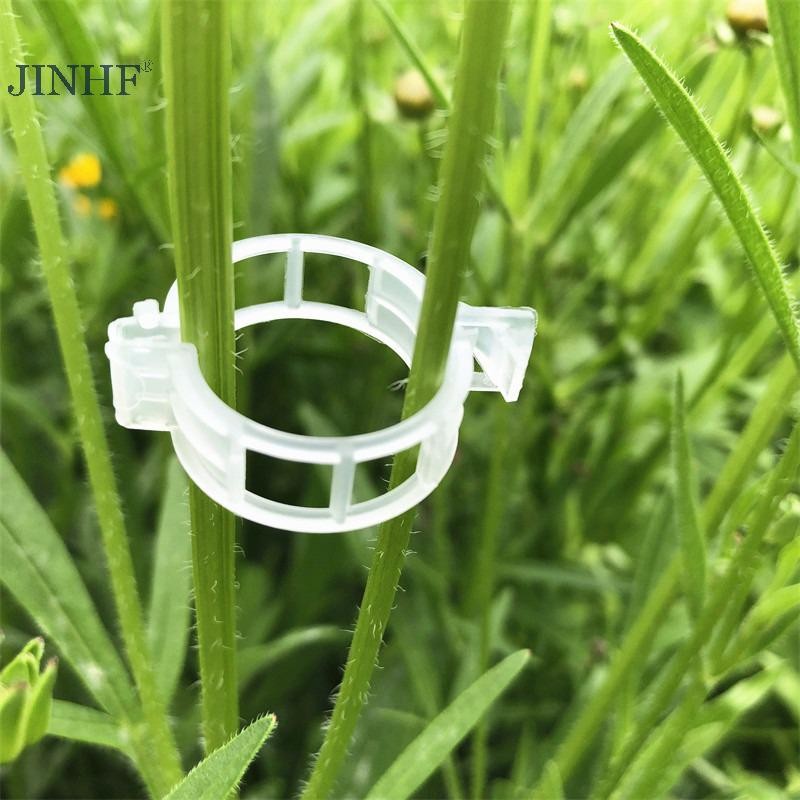 JINHF 100 Kẹp Nhựa Trong Suốt Cố Định Cây Leo, Hỗ Trợ Cà Chua, Nho, Trellis, Vườn
