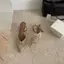 TT Thêu Sandal Mùa Hè Dây Đeo Bằng Mũi Nhọn Giày Cao Gót Dây Đeo Sau