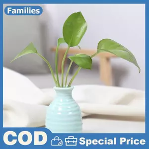 Ins Gốm Sứ Bình Hoa Bắc Âu Thủy Canh Bình Sáng Tạo Trang Trí Phòng Mini Hoa Chai Chậu Bàn Trang Trí Bình Nhiều Màu Sắc
