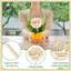 B & N 5 Chiếc Giáo Viên Bằng Gỗ Đánh Giá Cao Quà Tặng Đựng Thẻ Cảm Ơn Bạn Đã Giúp Tôi Phát Triển Thẻ Mọng Nước Gỗ Cổ Phần Thực Vật Nhãn Teache.