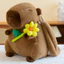 Capybara Quà Tặng Sang Trọng Đồ Chơi Ba Lô Quà Tặng Sáng Tạo Ba Lô Học Sinh Hợp Thời Trang Túi Nhỏ Capybara Quà Tặng 6.24 KRRW