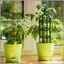 Trellis cho cây trồng trong chậu Kim loại Cây trồng trong chậu chống chịu thời tiết đa năng Hỗ trợ cây nho Hoa hồng mueadsyvn