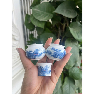 1 bộ 3 chiếc cóng chim chào mào, chích choè miệng lật hàng decal tàu nhiều hoạ tiết bắt mắt đã gắn sẵn tai