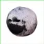PS1 The Moon Woke Up Sang Trọng Búp Bê Quà Tặng Cho Bé Gái Trang Trí Nhà Đồ Chơi Nhồi Bông Cho Trẻ Em Bộ Sưu Tập SP1