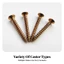 4 Miếng Mũi Nhọn Piano Caster Vít Countersunk Vít