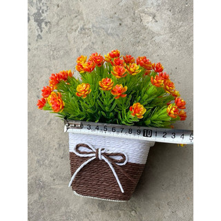 Cây nhựa giả để bàn, trang trí