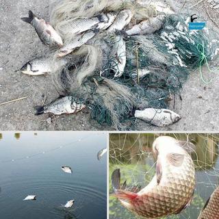 GIK lưới câu cá nylon đơn dây 8/15/20/30m, lưới phao, phụ kiện dụng cụ [VN]