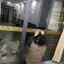 Vàng Đỏ Phong Cách Trung Hoa Eo Chống Va Chạm Cửa Kính Nhắc Nhám Dán Lễ Hội Trừu Tượng Sọc Trang Trí Tủ Cửa Ban Công 26.6.24