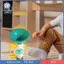 Đồ chơi Trumpet cho trẻ em, Đồ chơi học tập, Đồ chơi âm nhạc, Máy tạo tiếng ồn làm bằng PP, Thúc đẩy sự hiểu biết âm nhạc để sử dụng ở nhà và mẫu giáo