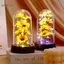 GCDHome Hoa Hướng Dương Đèn Ngủ Hoa Kính Bao Đèn Bóng Hoa Hồng Đèn LED Lá Hoa Sáng Tạo Để Bàn Trang Trí HOT