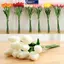 MAKY Nhân Tạo Hoa Tulip Giả Bó Hoa Giả Cảm Ứng Thật Nhà Tiệc Cưới Trang Trí VN