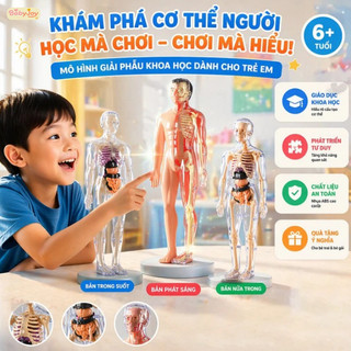 【BabyJoy】Mô Hình Lắp Ghép Giải Phẫu Cơ Thể Người Có Thể Tháo Rời,Mô hình người,Mô hình giải phẫu cơ thể người