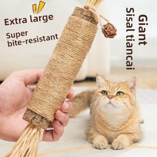 Cat Molar Stick Self-Happy Boredom Công cụ tiện dụng