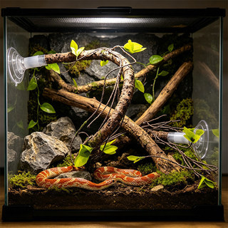 Cốc hút Mô phỏng Vine Cá rô Bò sát Terrarium Trang trí Chi nhánh cho tắc kè Rắn thằn lằn Rùa