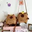 Túi đựng điện thoại đeo chéo AWNGD, Túi đeo vai sang trọng Capybara hoạt hình, có dây đeo có thể điều chỉnh Túi đựng đồ trẻ em có dây kéo dung lượng lớn