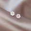 Bông Tuyết Bạc Zircon Bông Tai Đơn Giản Xuyên Bông Tai Thiết Kế Tính Khí Nhỏ Bông Tai Cao Cấp Vít Ánh Sáng Sang Trọng 6.16