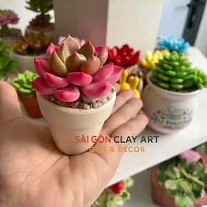 Chậu sen đá mini làm bằng đất sét đường kính 5cm