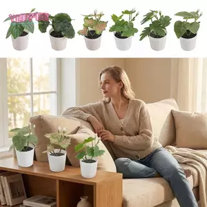 Cây cảnh cỏ nhân tạo YOFFOR, chậu hoa trắng