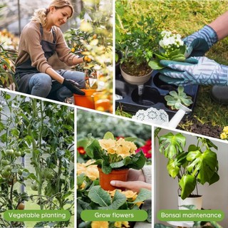 Có thể xếp chồng lên nhau Monstera Hỗ trợ cây trồng bằng nhựa có thể điều chỉnh Cọc cây leo Cây cột giữ cây Trellis cho cây nho trong nhà ngoài trời màu xanh lá cây 10 gói 1 Bộ 5 Gói