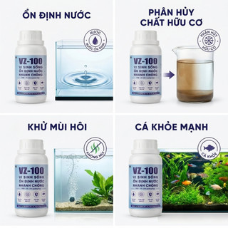 VZ-100 Vi Sinh Sống Làm Nước Trong Nhanh Chóng - Phân Huỷ Chất Hữu Cơ Ổn Định Nước