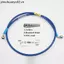 Xe Máy Xe Điện Phía Trước Phía Sau Đĩa Phanh Ống Phanh Ống Phanh 15cm Áp Lực Cao Đốt Ống Titan 10 Mm Thép Họng