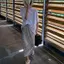 Váy sequin màu trơn công nghiệp nặng Váy hông xẻ giữa dài