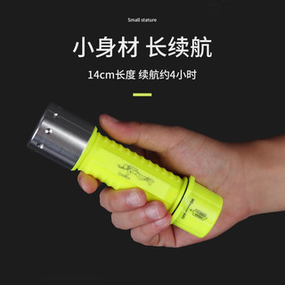 Đèn Pin Lặn Siêu Sáng, Sạc Được - Phù Hợp Đi Biển và Lặn Sâu