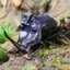 Máy trợ giảng Mô phỏng Động vật côn trùng hoang dã Mô hình đồ chơi Roach Shit Shell Lang Scarab Campus Đồ trang trí nhận thức Chiều cao 1,2cm