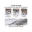 Áo thun nữ CARDINA chất liệu ren tay cộc họa tiết cổ tròn phối màu 6ARC05