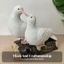 Trang Trí Dove Tượng Cặp Vỏ Cây Giống Như Nhựa Dove Tượng Trang Trí Nhà Trang Trí Nhà Cửa Vẽ Tay Cho Sân