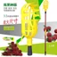 Bayberry Hand-Picked Bayberry Tool Máy hái trái cây ép trái cây có thể thu vào có thể thu vào bằng tay Kéo ép trái cây Loquat