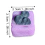 QEARY Trái Cây Bóp Đồ Chơi, Đồ Chơi Squishy Thư Giãn Tay Đồ Chơi Bóp việt quất, Lo Âu Handmade Pinch Đào Dâu Bóp Đồ Chơi Văn Phòng Tại Nhà
