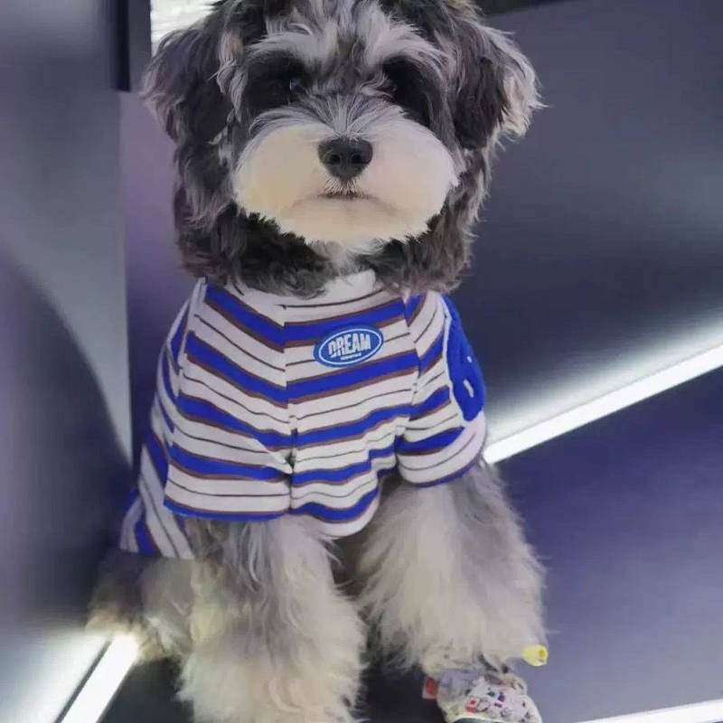 【Ready Stock】 Trendy Brand Dog Clothes Spring and Summer Thin Cat Jarre Aero Bull Bichon Schnauzer Teddy Striped New Striped Clothes VaD8