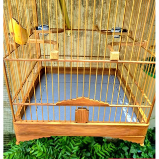 compo 10 Tấm lót lồng chim chào mào tái sử dụng size 35.35cm