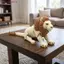 JUNYUE88US Tượng sư tử, Đồ trang trí sư tử để bàn sáng tạo in 3D, Động vật hoạt hình Khớp di chuyển được Đồ trang trí sư tử ngộ nghĩnh Sử dụng trên máy tính để bàn