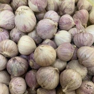 1KG Tỏi cô đơn loại 1, Củ to. (làm tỏi đen, ngâm rượu, ngâm mắm, chế biến món ăn,...)  Đặc sản tỏi cô đơn, tỏi 1 nhánh