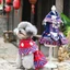 QUẦN Khăn Cho Chó Mèo QEARY, Vintage Có Thể Điều Chỉnh Zhuang Phong Cách Dân Tộc Đầm Thú Cưng, Sáng Tạo Thoải Mái Mềm Giả Bạc Trang Sức Thú Cưng Trang Phục Hóa Trang Đảng Cosplay