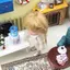 HFTOY Nhựa Mini Máy Đựng Nước Đồ Chơi DIY Nhà Búp Bê Phụ Kiện Nội Thất Nhà Bếp ~