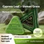 Xà phòng dầu gội Cypress Leaf Usman Soft Plumping Hair Plant Formula Gentle Chống ngứa