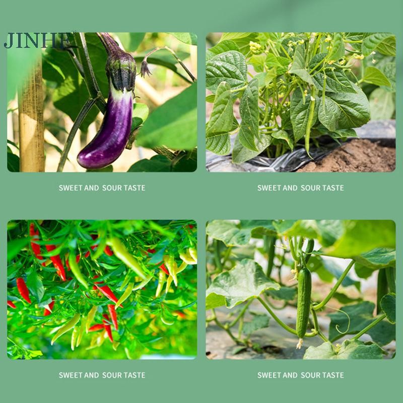 JINHF 100 Kẹp Nhựa Trong Suốt Cố Định Cây Leo, Hỗ Trợ Cà Chua, Nho, Trellis, Vườn