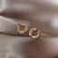 S925 Bạc Kim Sang Trọng Zircon Bông Tai Cỏ Bốn Lá Nữ Niche Thiết Kế Cao Cấp Thanh Lịch Bông Tai 6.16