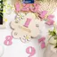 MAKY Gỗ Bé Hàng Tháng Cột Mốc Thẻ Hoa Hai Mặt Số Tháng Bé Gái Bé Trai Sơ Sinh Đạo Cụ Chụp Ảnh Phụ Kiện VN